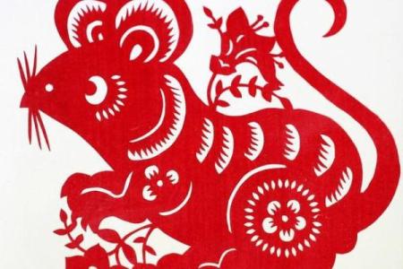 生肖揭秘:哪些女人的命中最有钱,财富人生的秘密!