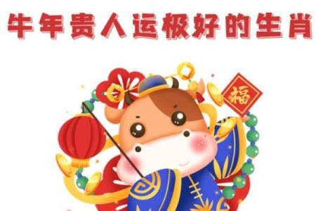 六一年出生的生肖命理解析:牛年之道与命运的深度探索