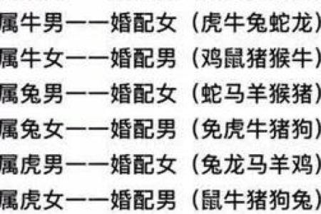 炉中火命和什么命最配?探讨最佳婚配组合与幸福生活!