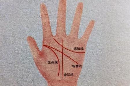 女生手相四条线的秘密:解读命运与性格的奥秘
