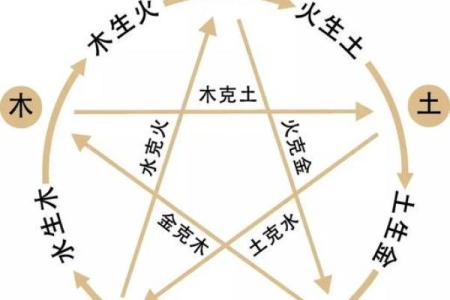 六十岁鼠年生人的命运:细数五行之深意与人生启示