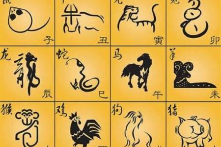 六月出生的男猴:解密他的命运与性格特点