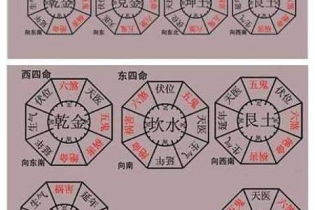 探秘命理学：解读离命与东四命的深层含义