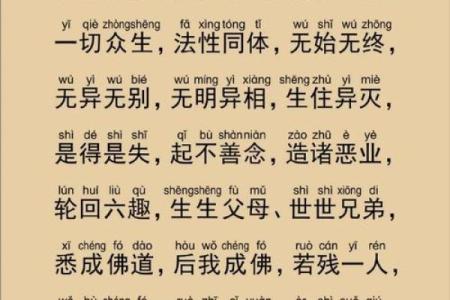 内命与外命:解读命运的双重含义与我们生活的关系