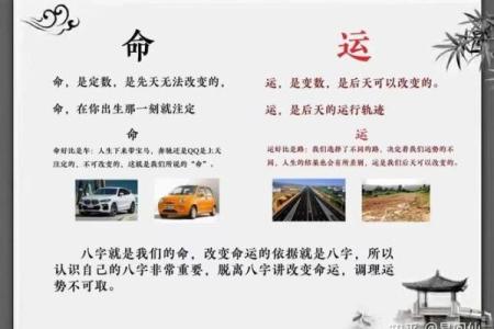 女命十年大运比肩的深刻解析与人生启示