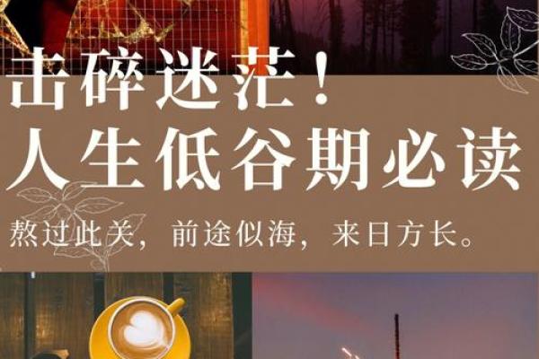 女命九流之士：揭示女性命运与人生选择的奥秘