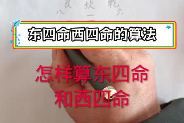 探秘命理：解读离命东四命的深厚内涵与人生启示