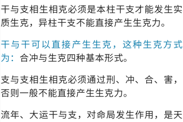 开车与五行：揭开命理学中的交通之道