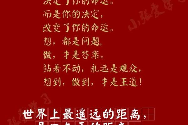 命不压命：浅谈人生中的选择与命运的关系
