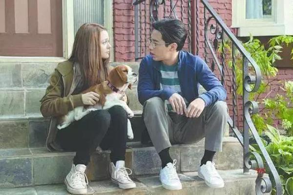 探秘命里奉职：了解人生使命与内心追求的和谐之道