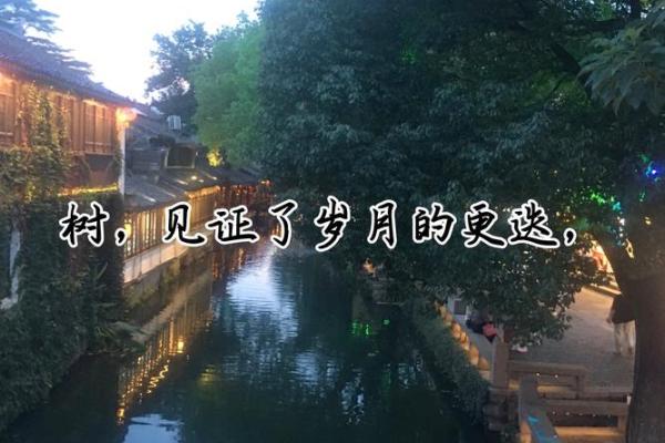 没什么好送，就送你一条命：生命的珍贵与意义