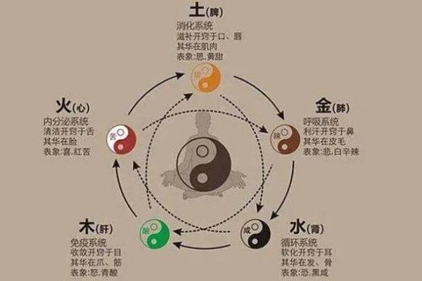 了解马五行：探索马年出生的命理之奥秘与智慧