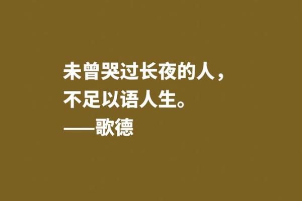 探寻“女人匪夫命”：别样的人生哲学与情感之旅