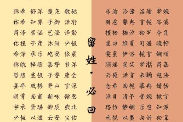 如何为木命之人起个好名字——增添生命活力与美好寓意
