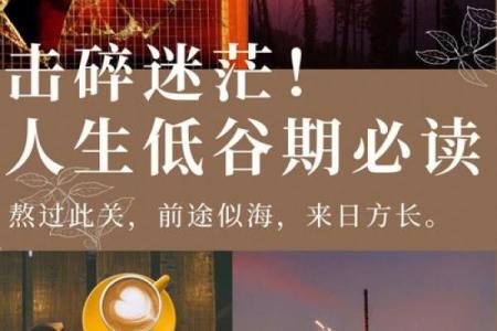 女命九流之士：揭示女性命运与人生选择的奥秘