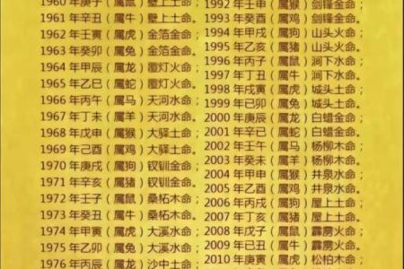 炉中火命虎生什么命?揭秘适合的宝宝命理选择!