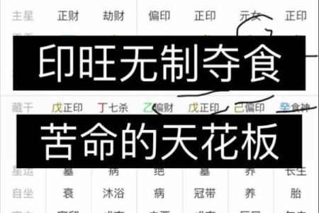 如何在命局中有效制枭神夺食,逆袭人生从此开始