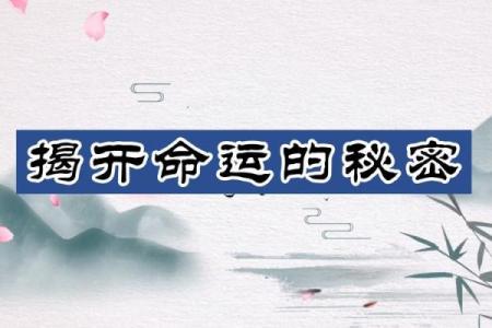 六十九岁属相探秘:揭开命运的神秘面纱