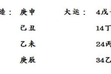 深入解析农历乙酉年命格特征与运势