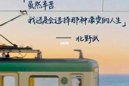 女命做妾室的深层意义与人生选择探讨