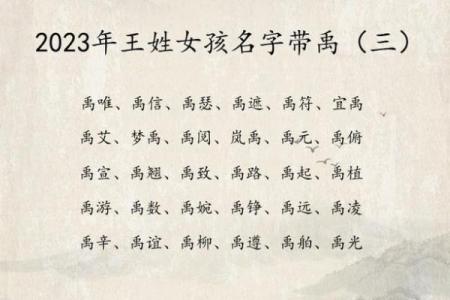 女孩土命王姓名字选择：寓意与命理的完美结合