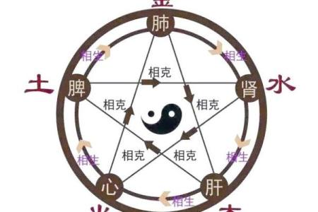 女命正财坐伤官：解读其深刻含义与生活影响