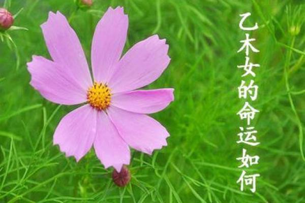 女人命运与性格：从内心世界探寻人生轨迹的秘密