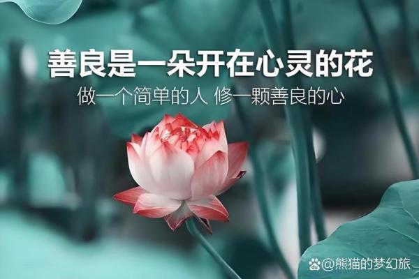 命运的秘密：如何理解“命”与生活的连接