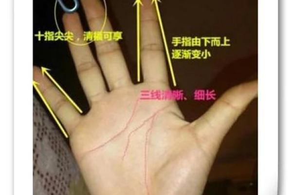 探索女人手相的奥秘：复杂纹路揭示的命运与人生