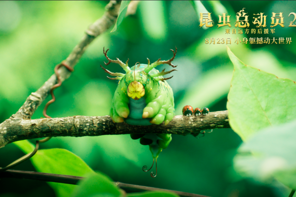 九命怪猫：奇幻世界中的现代女英雄——小雨的冒险之旅
