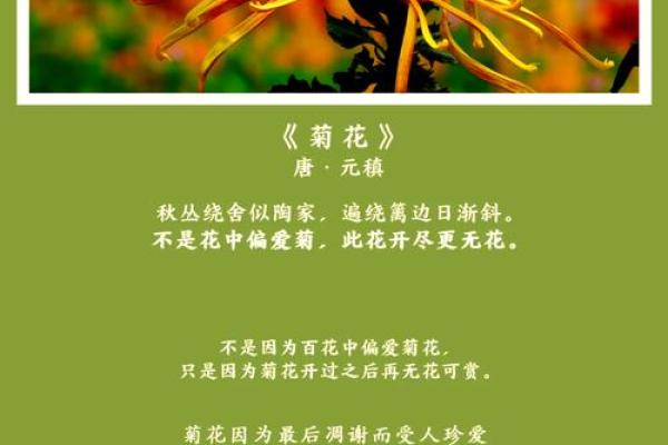 “命贵不染风尘女”：探寻古韵与现代女性的灵魂之美