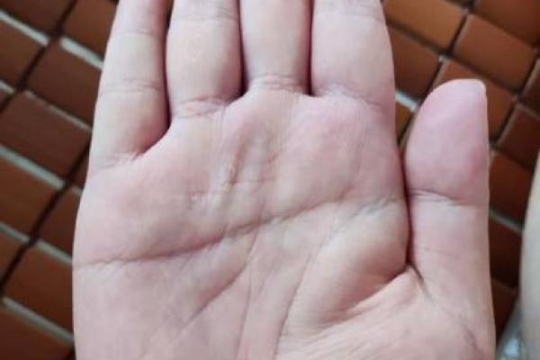 蝴蝶命女：手相中隐藏的美丽与命运之谜