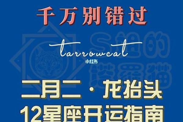 马年二月二出生的人命理解析：特质与运势全揭秘
