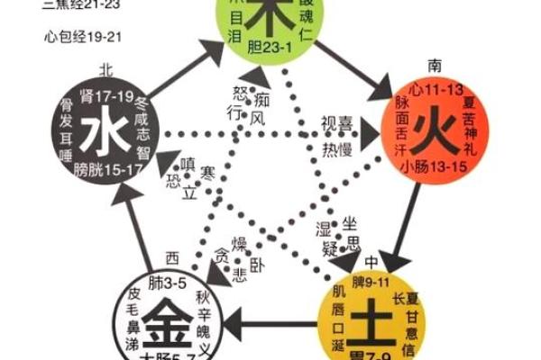 探索六九年出生的鸡命与五行的奥秘