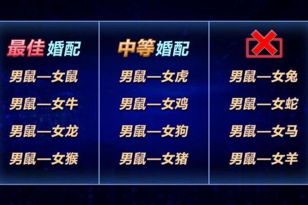 揭开老鼠命理的神秘面纱：解析鼠年运势与性格特点