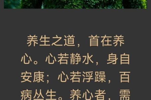 霹雳火命配什么命？探索命理的奥秘与和谐之道