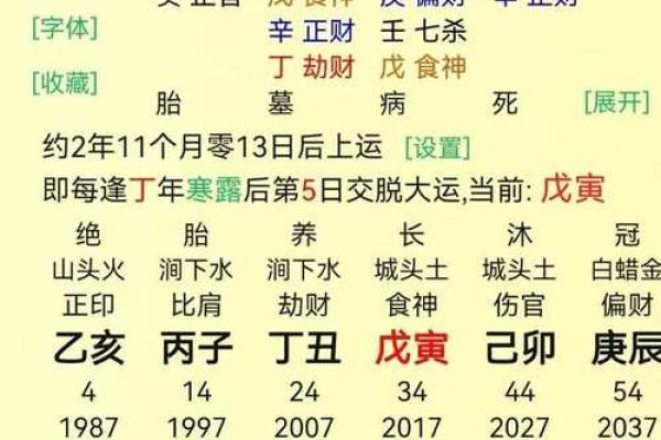 男乙亥年辛巳月的命理解析与人生智慧