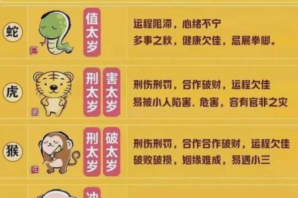 命气过旺指的生肖与命理解析，让我们一起探秘属于你的运势！