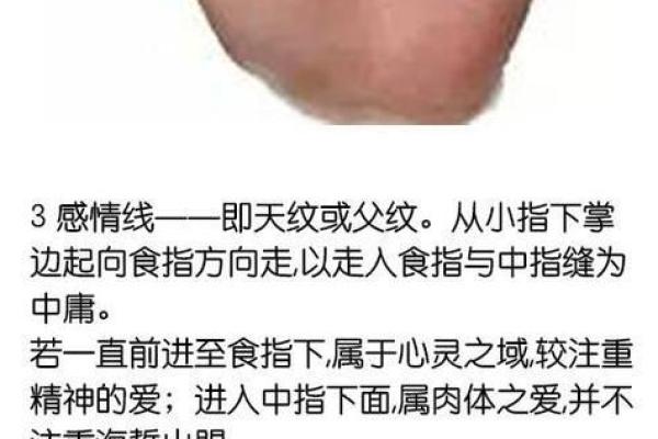 老年人福禄之命：释义、影响与幸福生活的秘诀