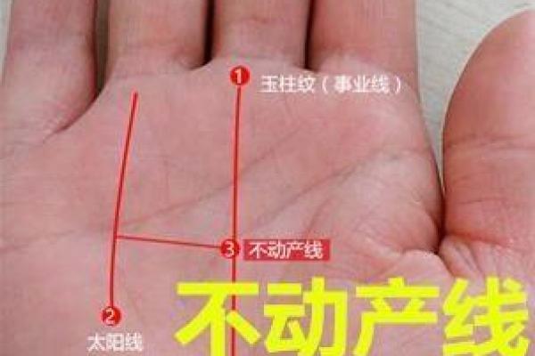 命理学视角下的韭菜命：探索命运与财富的关系