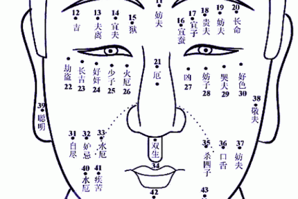 揭秘：脸上长疣的女人命理与性格暗示，揭示你的独特命运