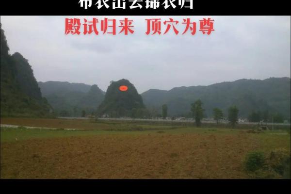 女命带驿马：智慧与风情的完美配对之道