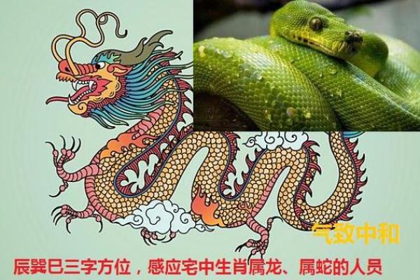 辛巳命：一生中的机遇与挑战，探寻命理奥秘