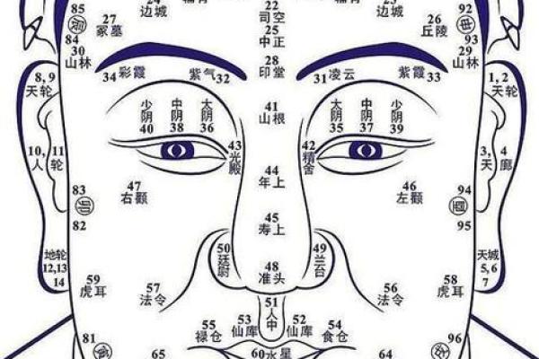 男性石榴木命的意义与影响：探索命理背后的智慧