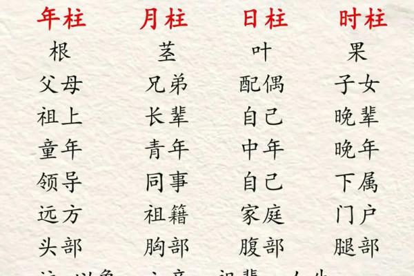 2024年农历五月十三：解析八字命理与人生运势