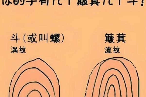 探秘女人手上七个簸箕：命运与人生的深刻寓意