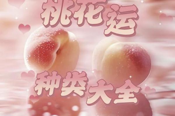 女命四朵桃花，桃花运势与命理的魅力解析