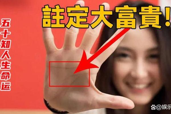 女人为何追求大富大贵的命，人生底色与自我价值的绽放