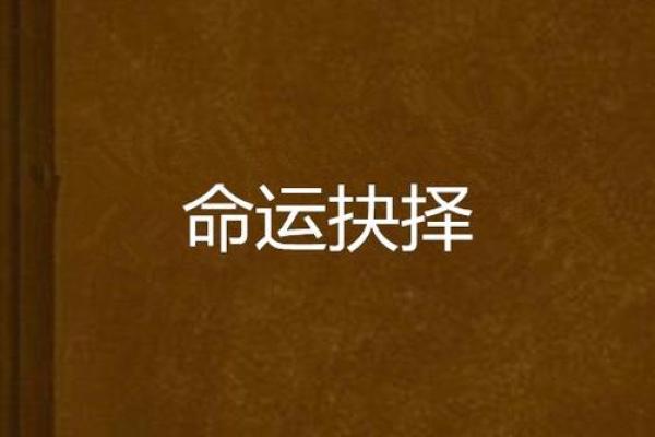 命运与选择：人生中的成语智慧探讨