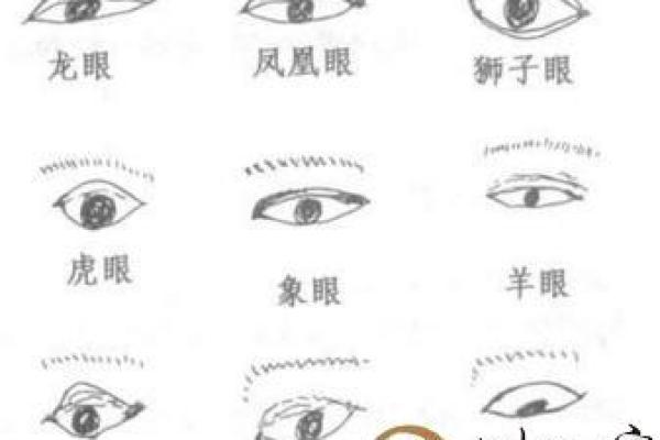 看相说我命短，解读面相与命运的奥秘